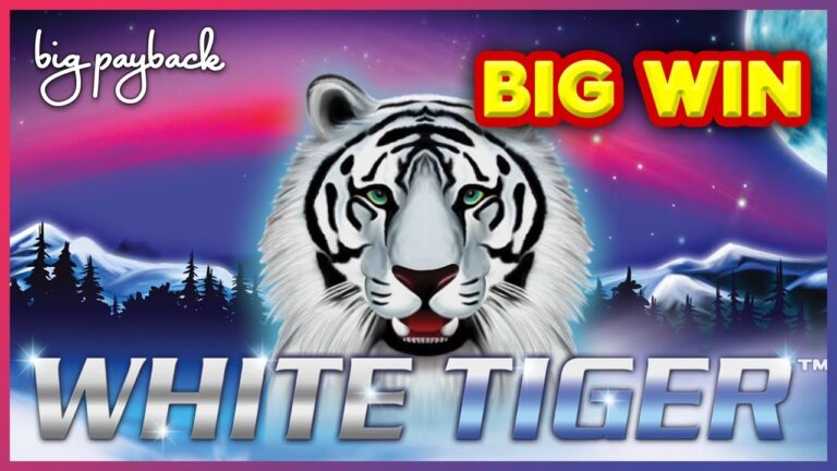 Core Gameplay Mechanics and Features of White Tiger Slots